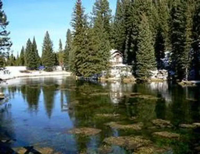 BIG SPRINGS GRP. AREA - ISLAND PARK