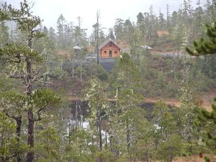 Middle Ridge Cabin in the distance seen behind trees
