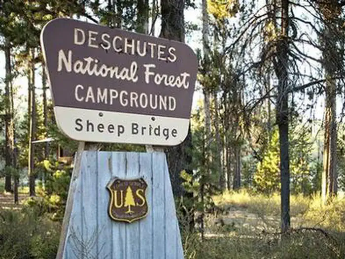 SHEEP BRIDGE