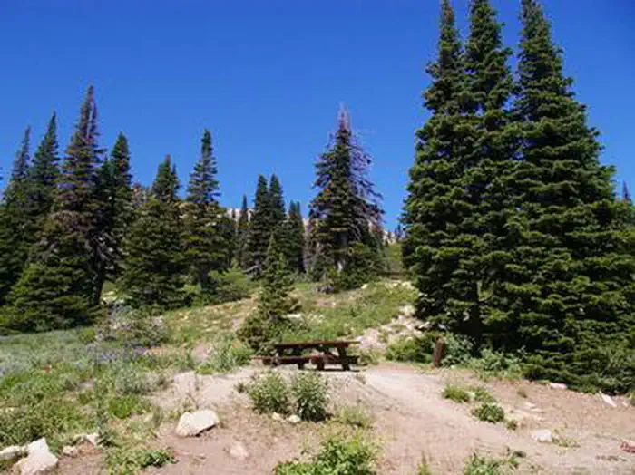LAKE CLEVELAND - EAST SIDE PICNIC AREA