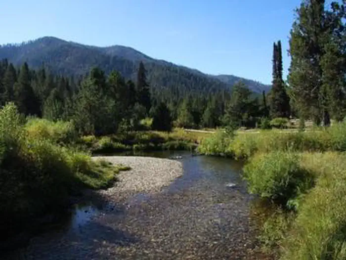 Silver Creek