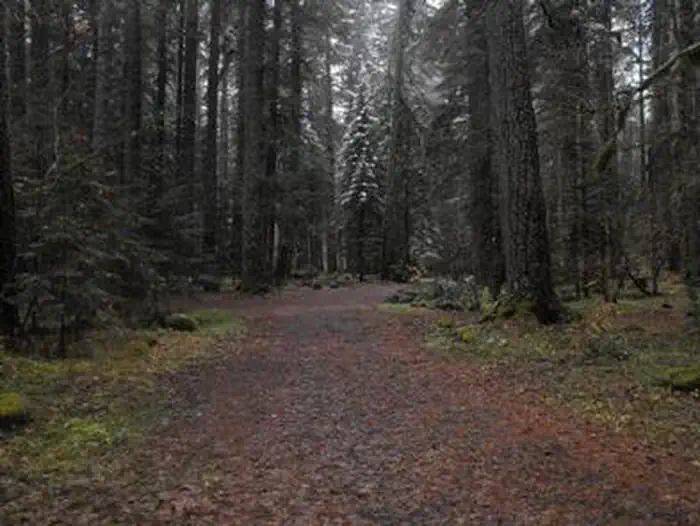 FRISSELL CROSSING CAMPGROUND