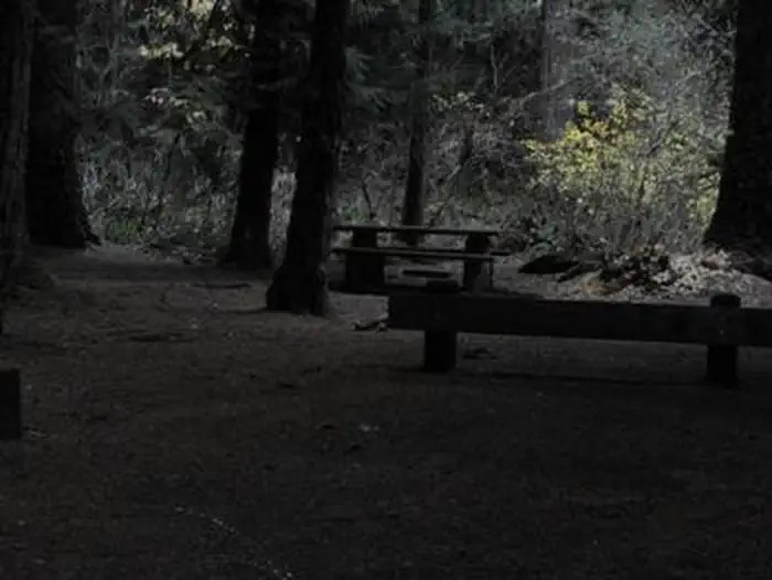LIMBERLOST CAMPGROUND