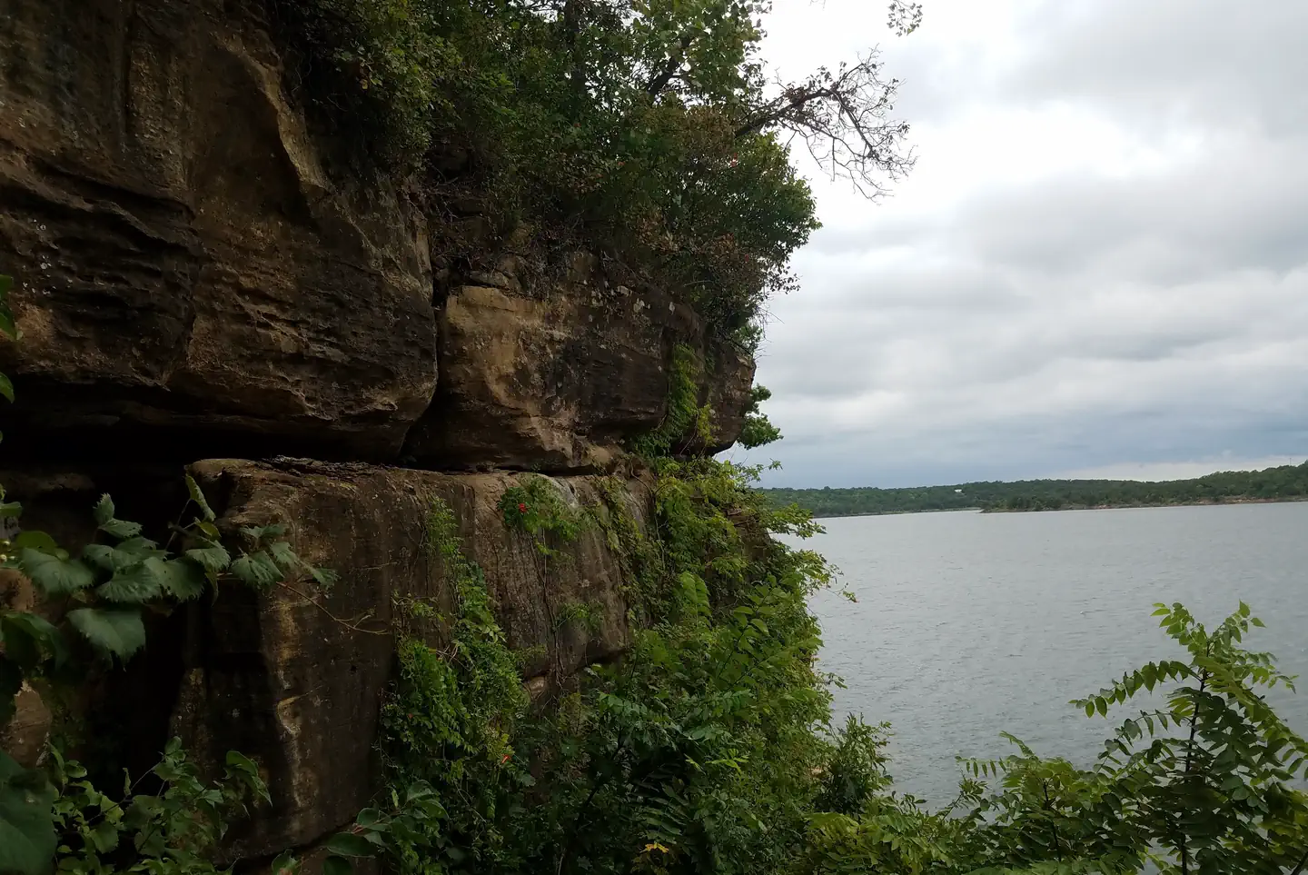 TALL CHIEF COVE