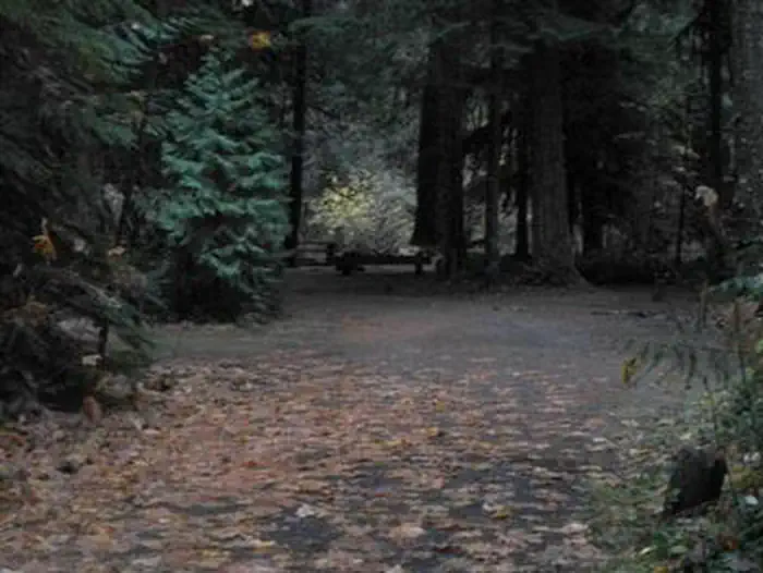 LIMBERLOST CAMPGROUND