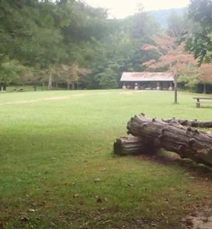PINK BEDS PICNIC AREA and SHELTER