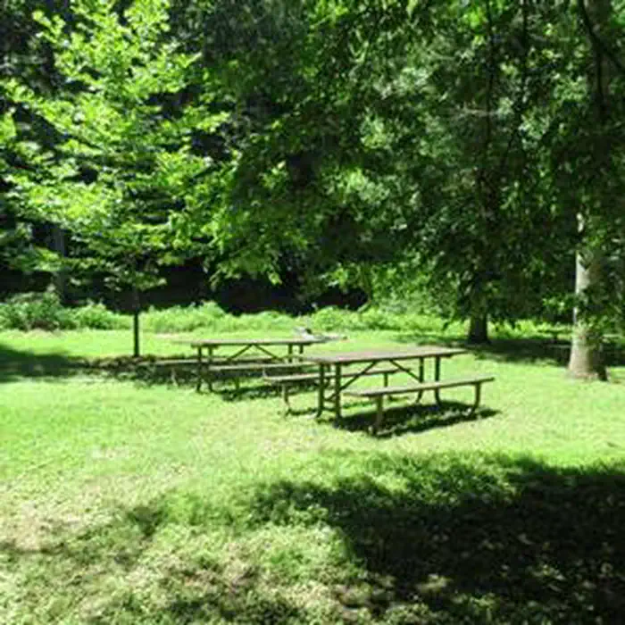 Two picnic tables on grass surrounded by trees