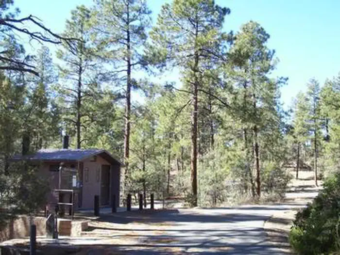 Two Stall Vault Toilet on Concrete Pad Next To The Ponderosa Pine Tree Lined Campground Roadway