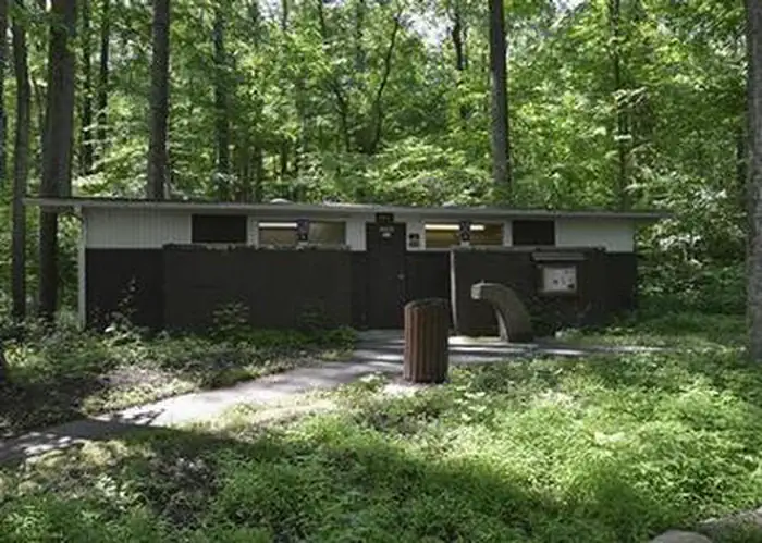 Front view of upper comfort station building showing 2 windows, door and paved path. Dense deciduous forest visible behind building