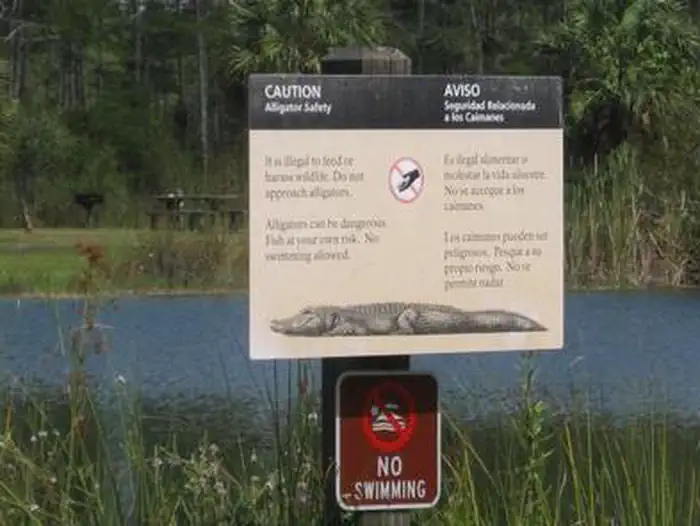 Midway Campground (FL) lake