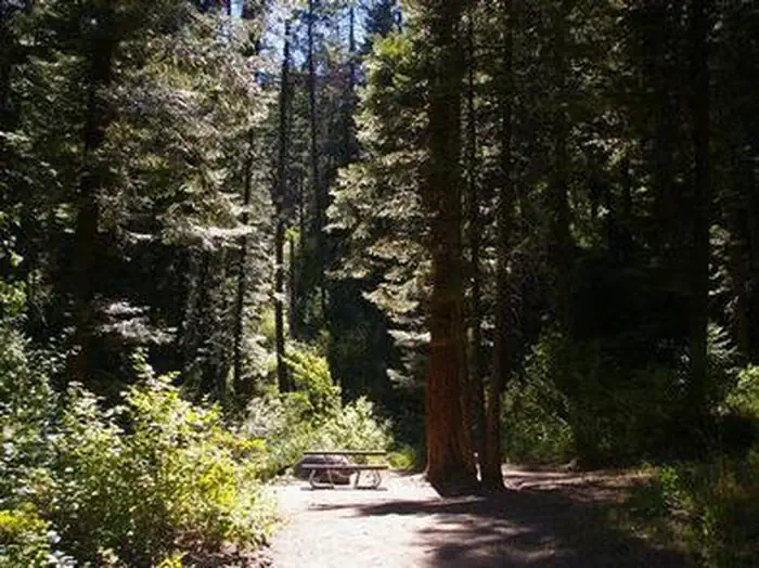 COLD SPRINGS CAMPGROUND - Campsite