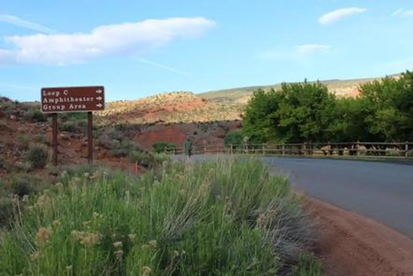 A paved road. To the right side there is desert fauna and a brown sign reading: "Loop C *right arrow* Amphitheater *right arrow* Group Area *right arrow*". To the left side is a fence and some trees. There is a brown-red color hill against 