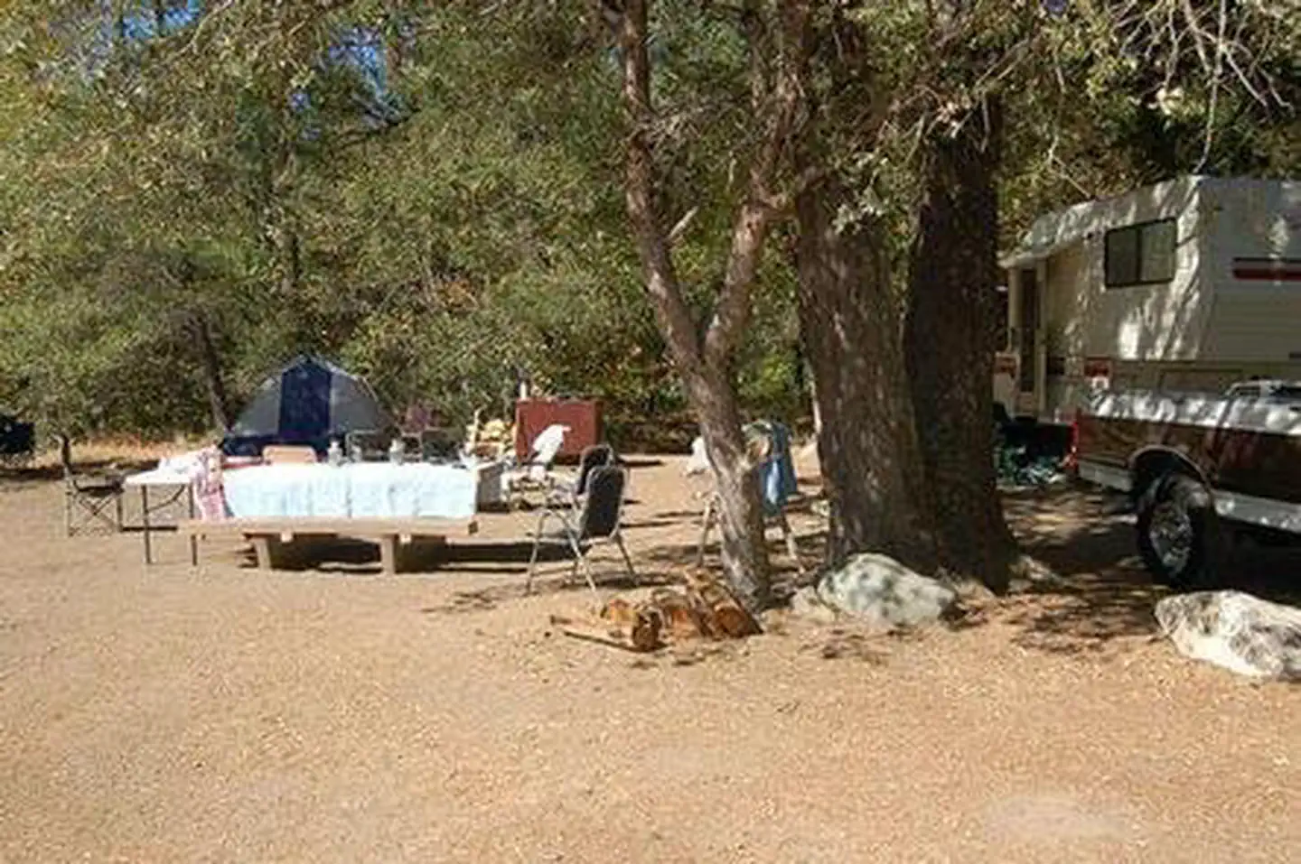 Summer Campers