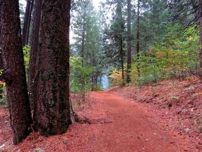 BRIDAL VEIL GROUP AREA AND PICNIC GROUND
