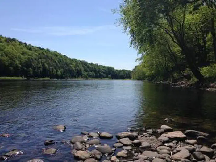 River view with greenery on the edge of the rocky shore