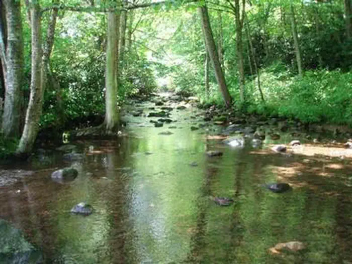FOX CREEK HORSE CAMP