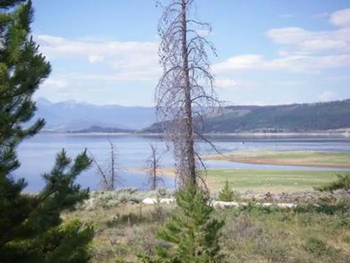 CUTTHROAT BAY GROUP