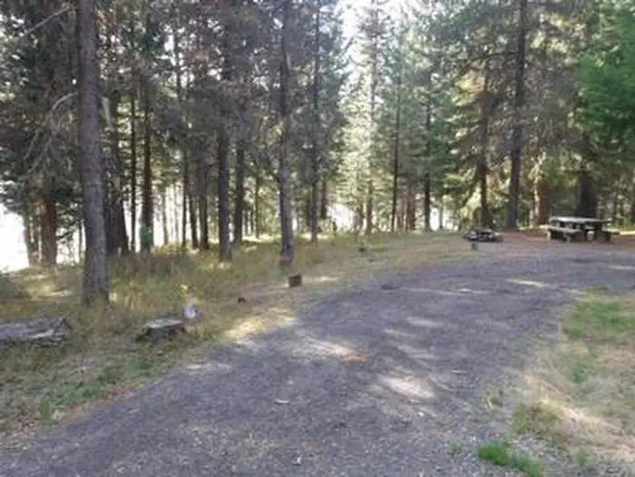 Flat gravel driveway leading to campsite with picnic table and fire ring in pine forest.