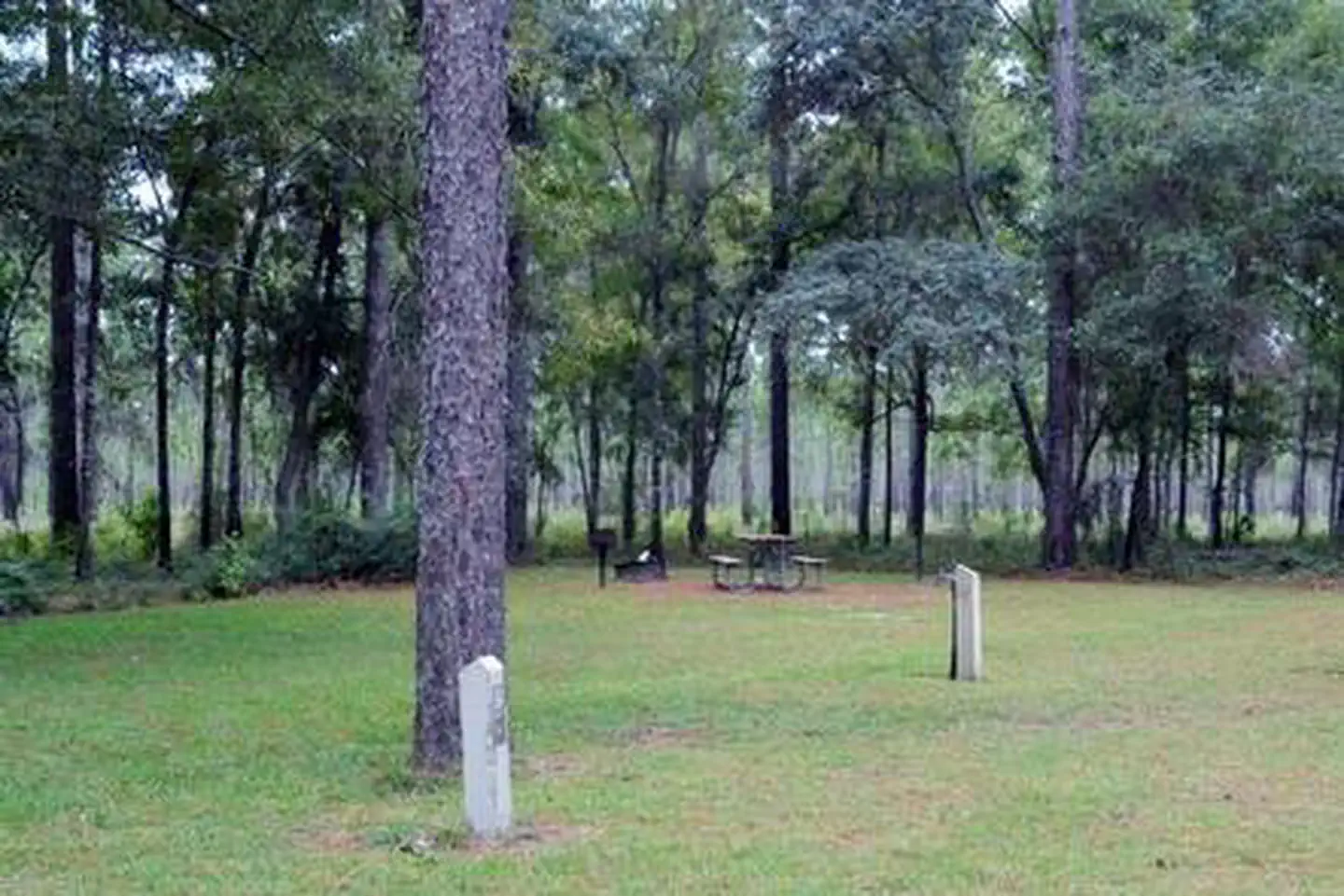 WRIGHT LAKE CAMPGROUND