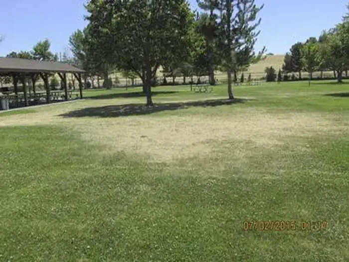 WEST PARK (OR)