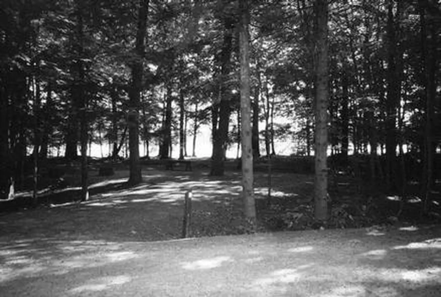 LAURA LAKE CAMPGROUND