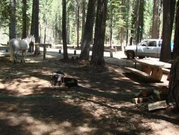 Horse Camp hitching post in use