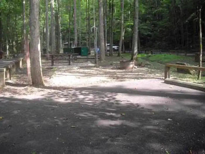 Rock Creek Campground (TN)