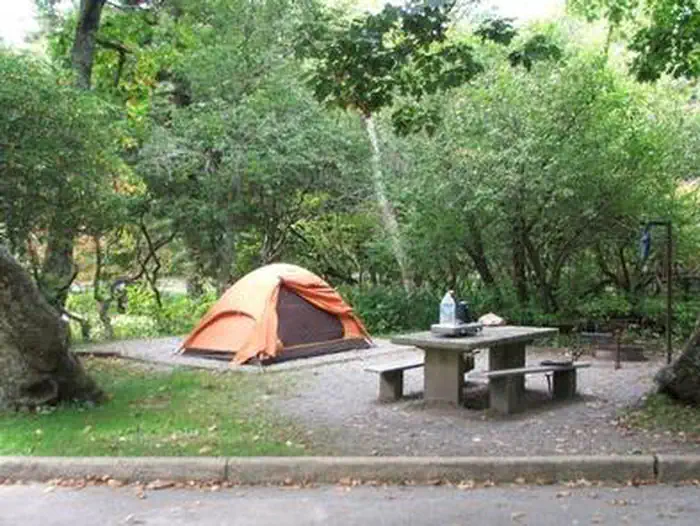 A cozy tent set-up at Mt. Pisgah