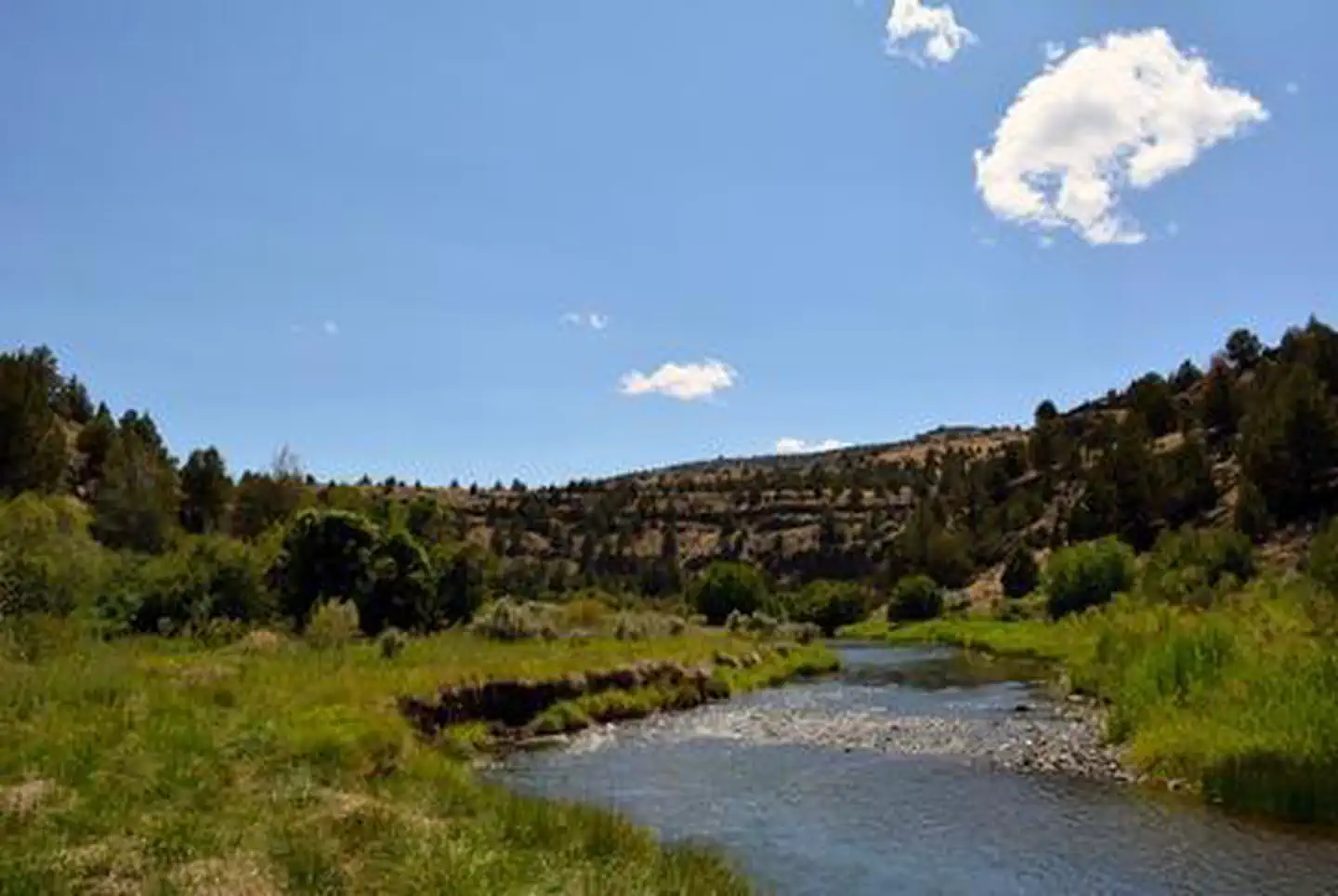 Page Springs Campground