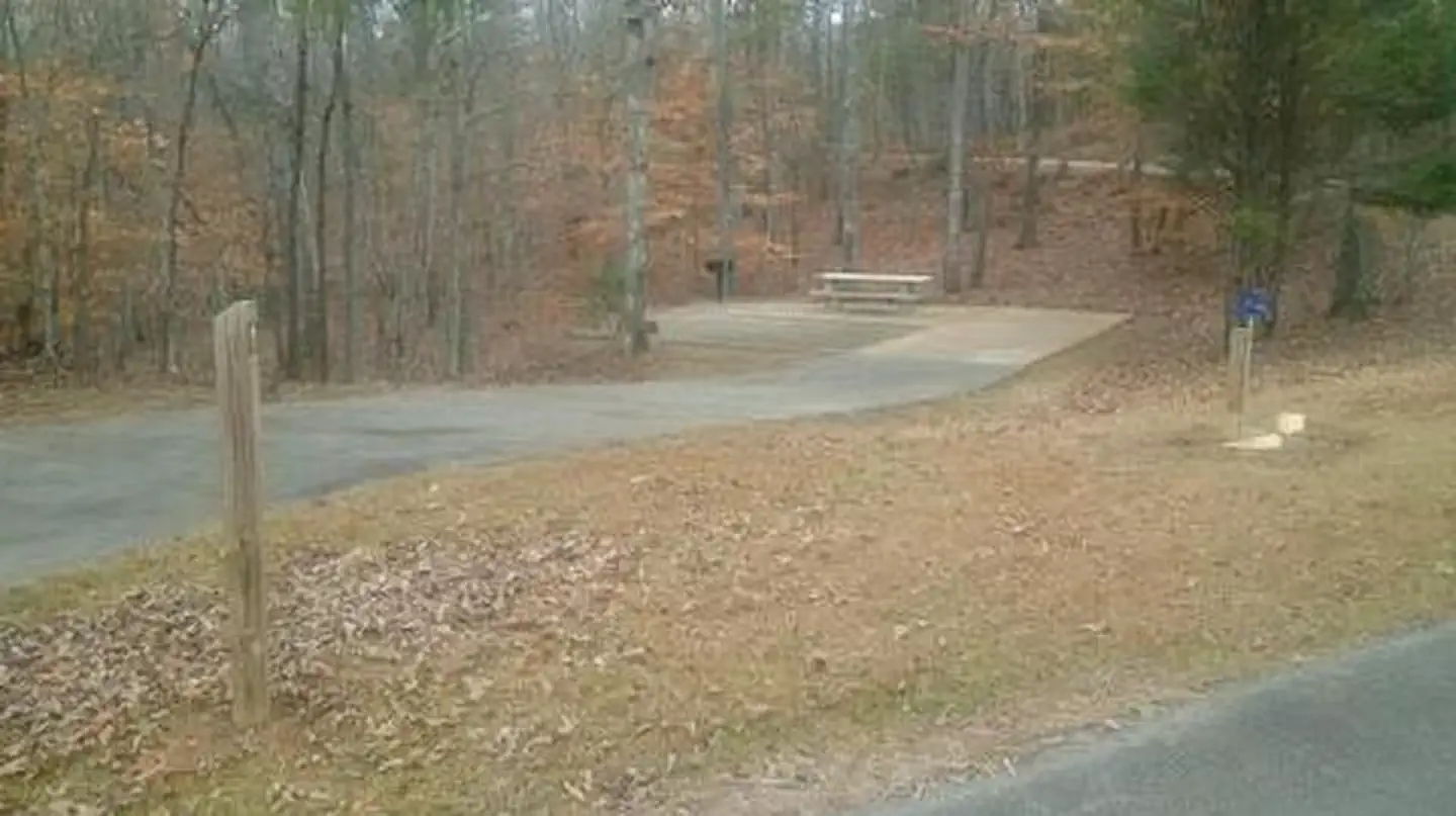Toto Creek Campground site view