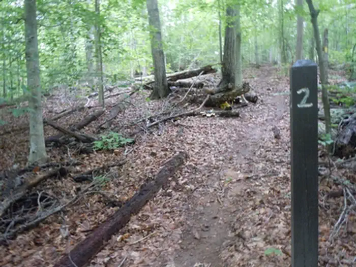 Campsite #2 Marker