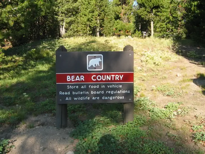 A campground sign warns, "Bear Country: Store all food in vehicle. Read bulletin board regulations. All wildlife are dangerous." Also visit https://www.nps.gov/yell/planyourvisit/safety.htm