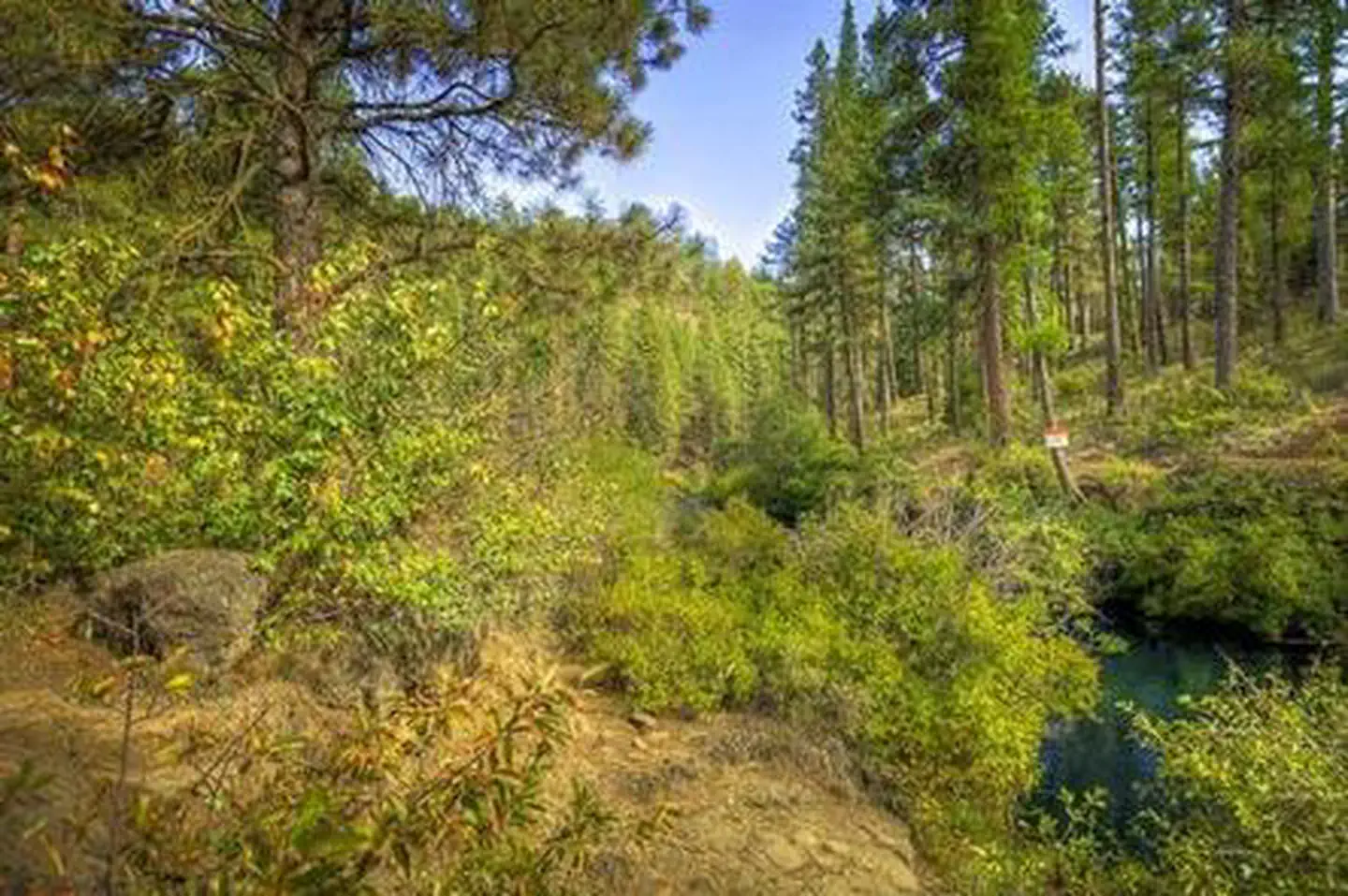 LOWER CANYON CREEK CAMPGROUND