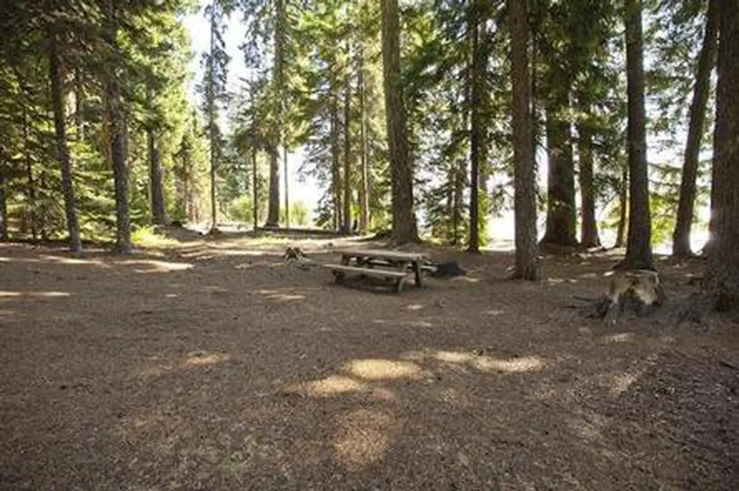 PRINCESS CREEK CAMPGROUND