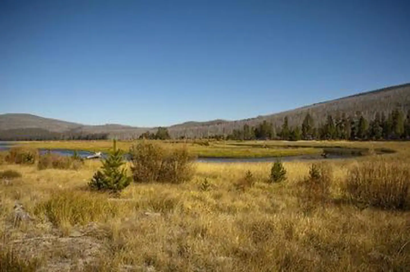 EAST DAVIS CAMPGROUND