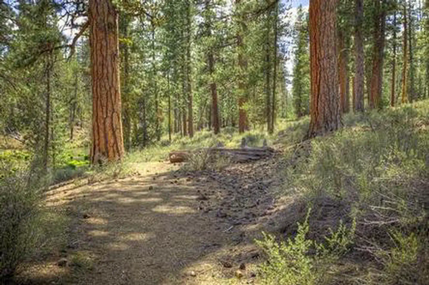 FALL RIVER CAMPGROUND