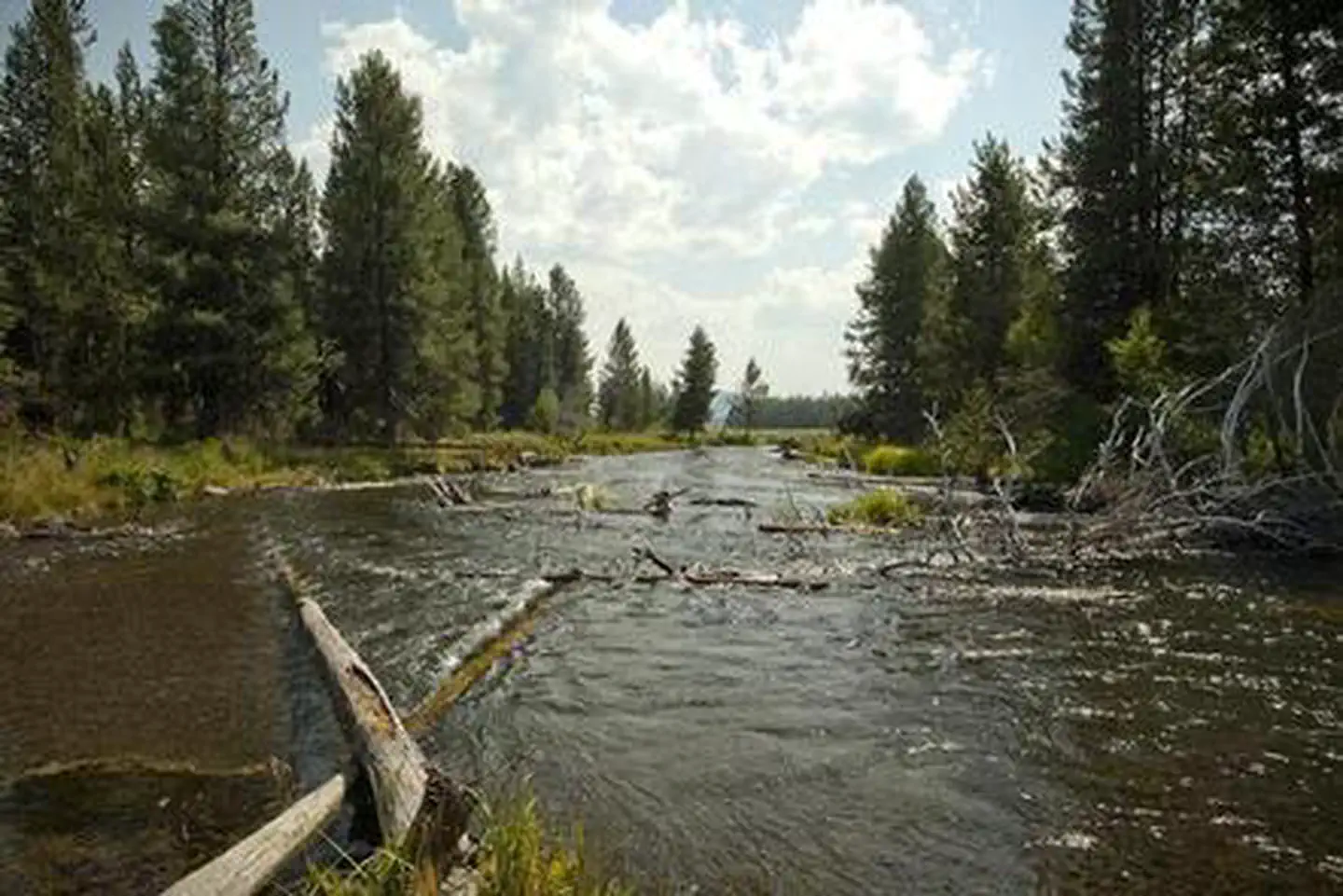 COW MEADOW CAMPGROUND