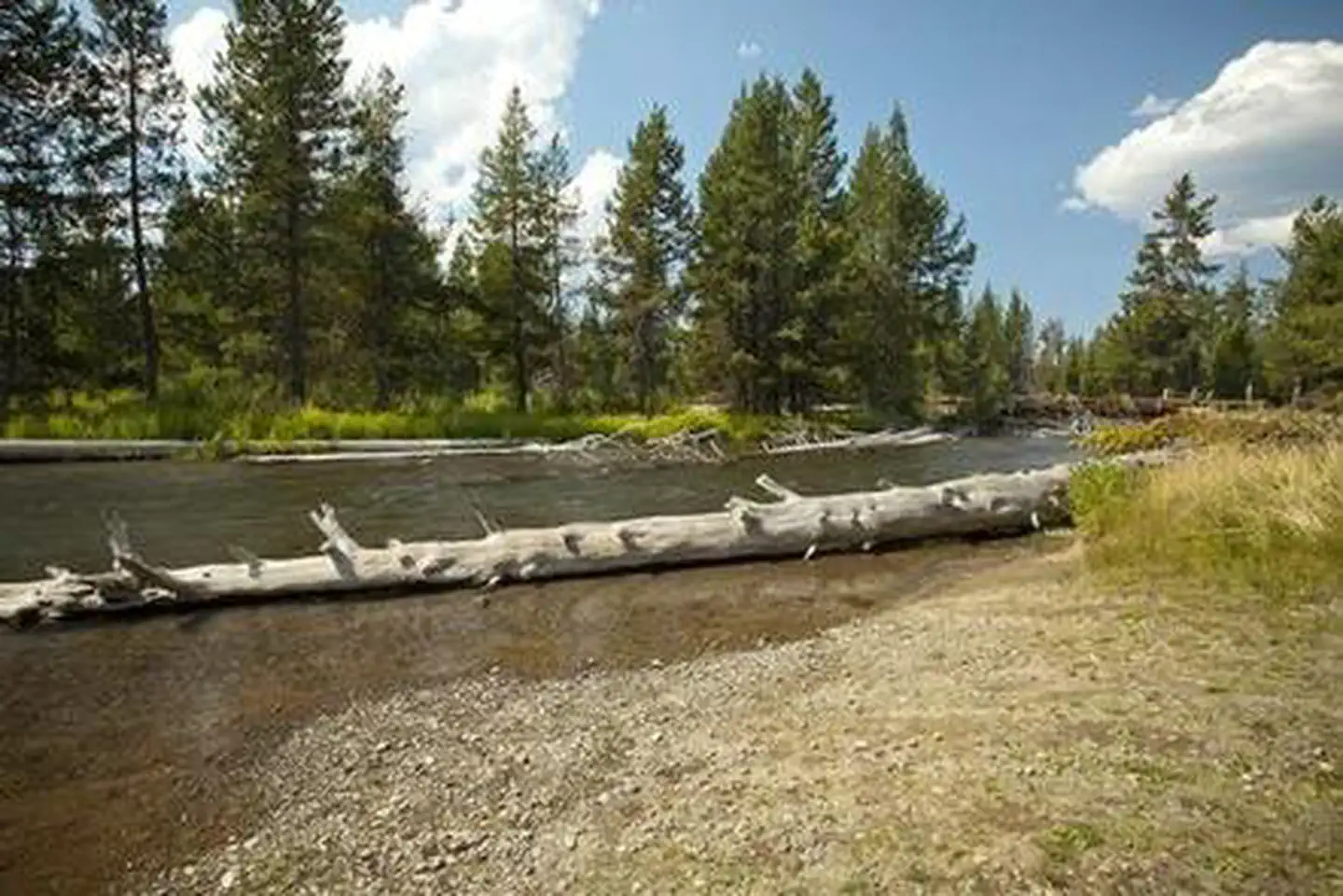 COW MEADOW CAMPGROUND