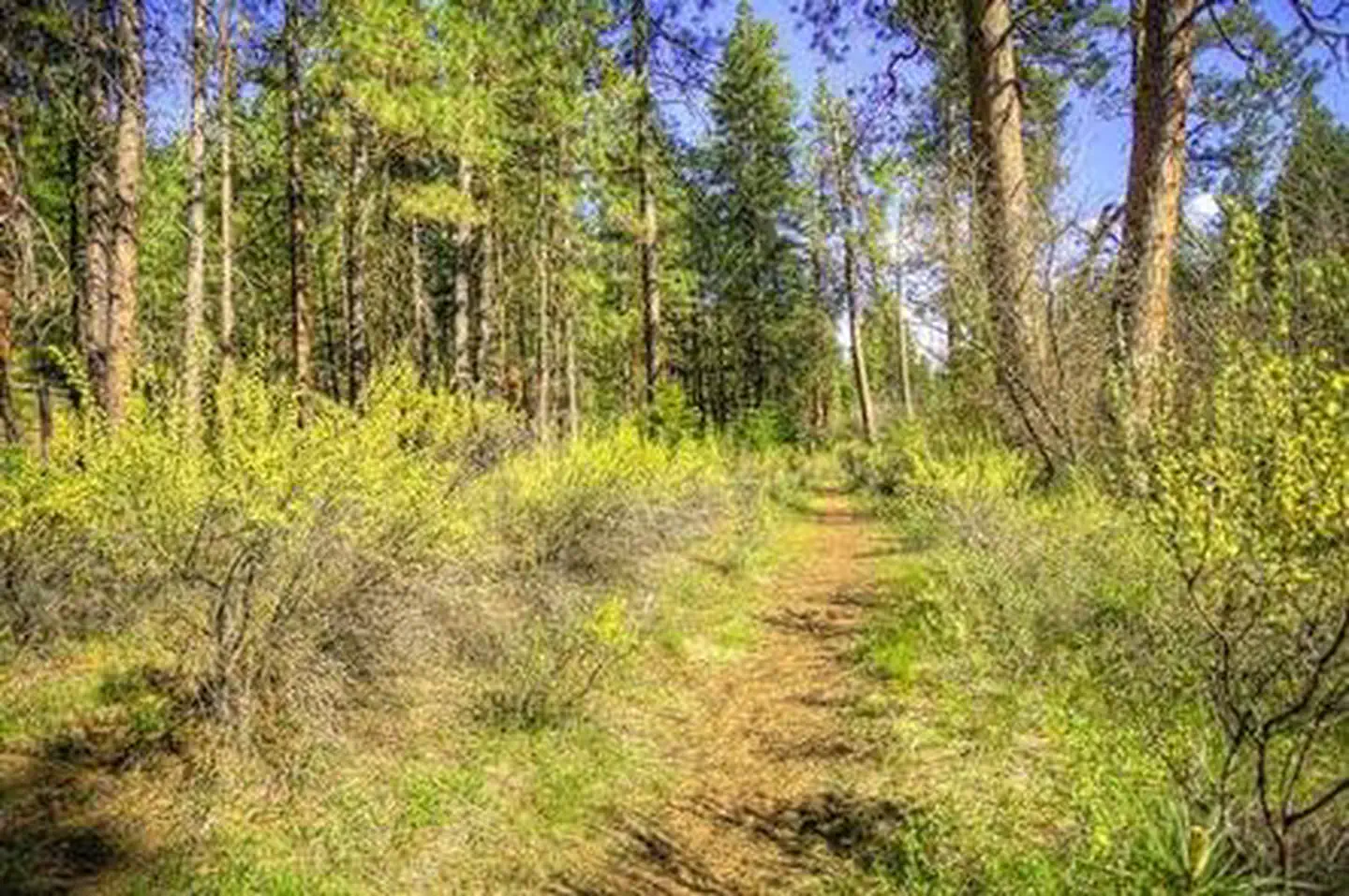 PINE REST CAMPGROUND