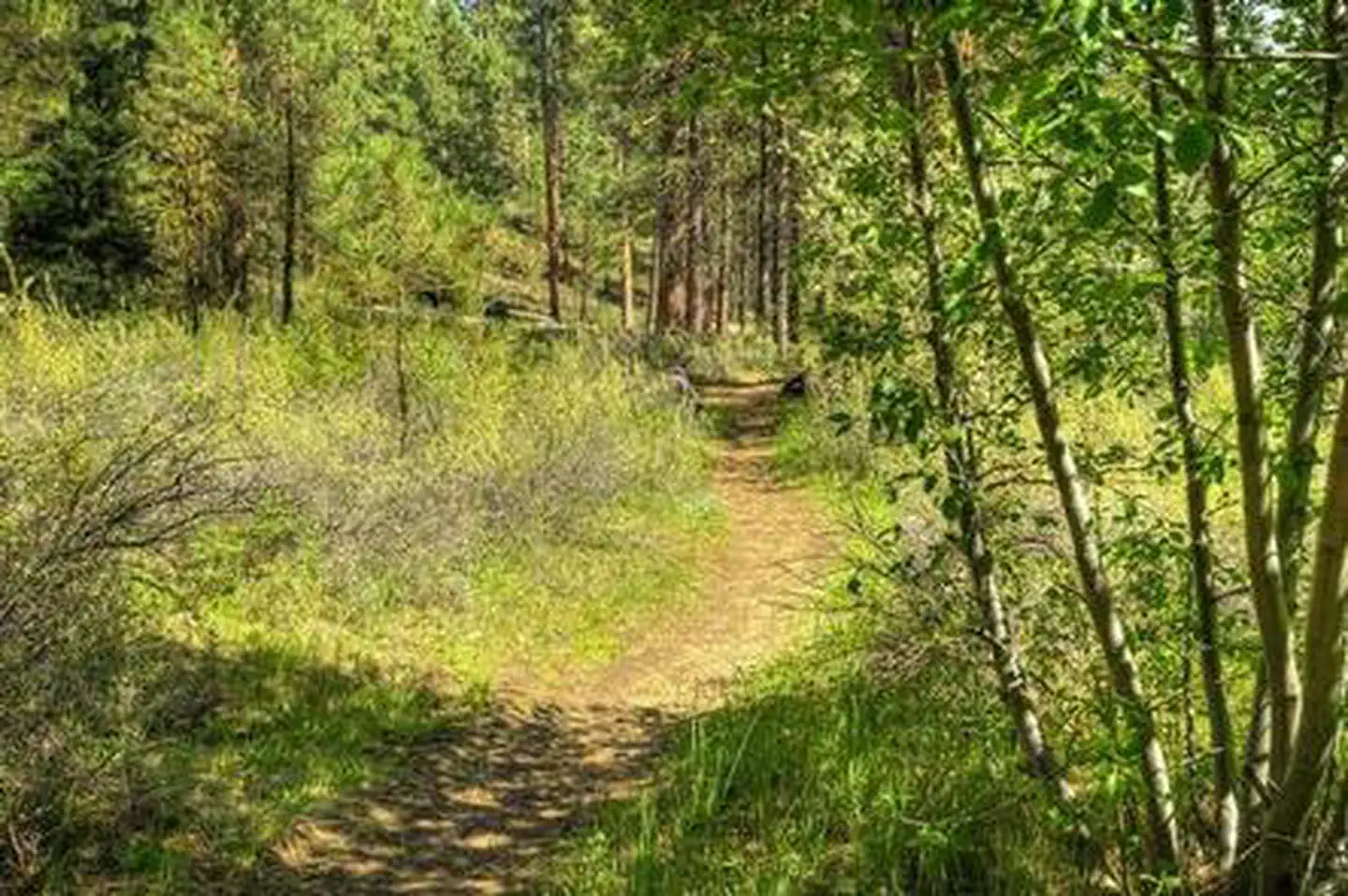 GORGE CAMPGROUND