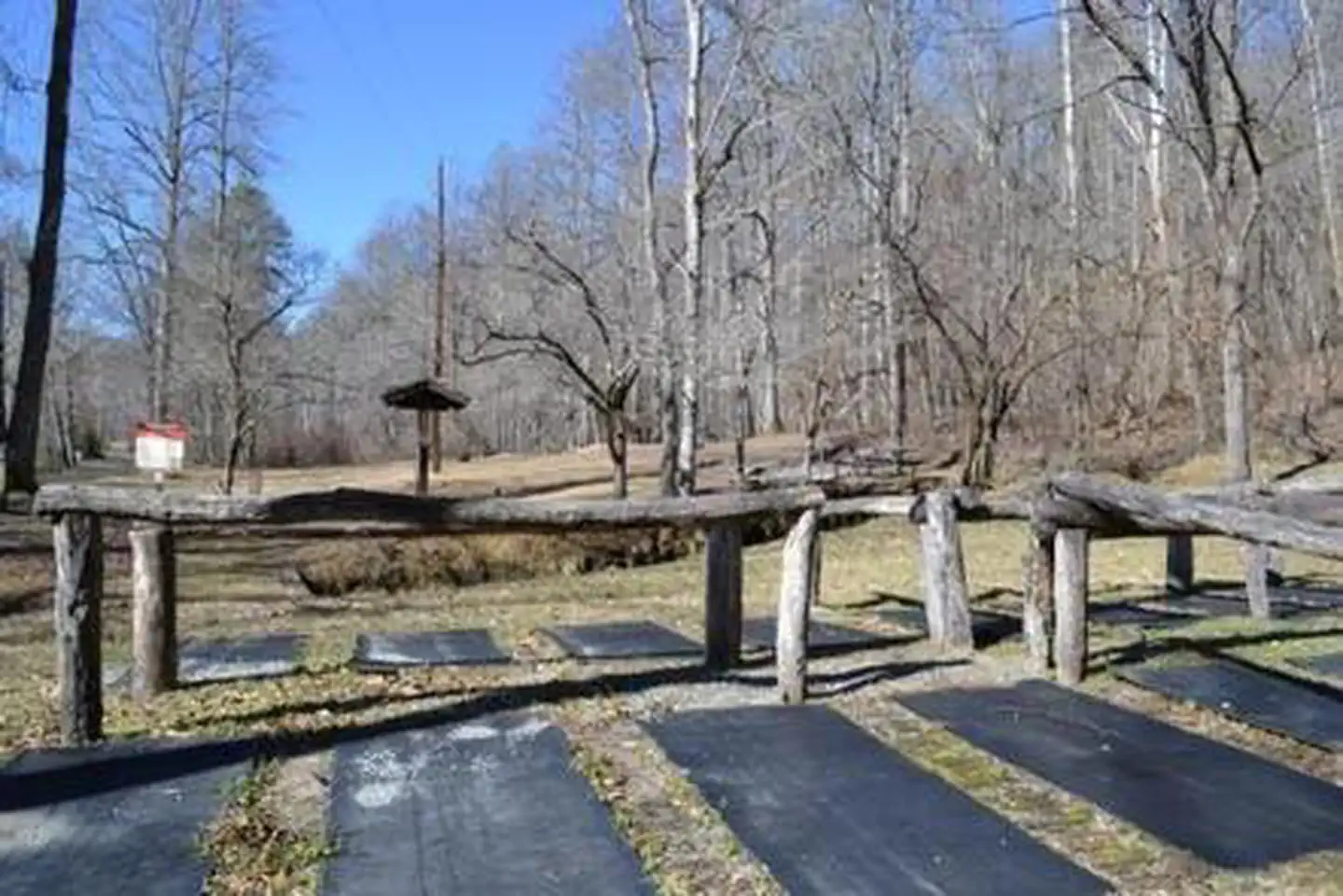 A Hitching Post at Tow String Horse Camp