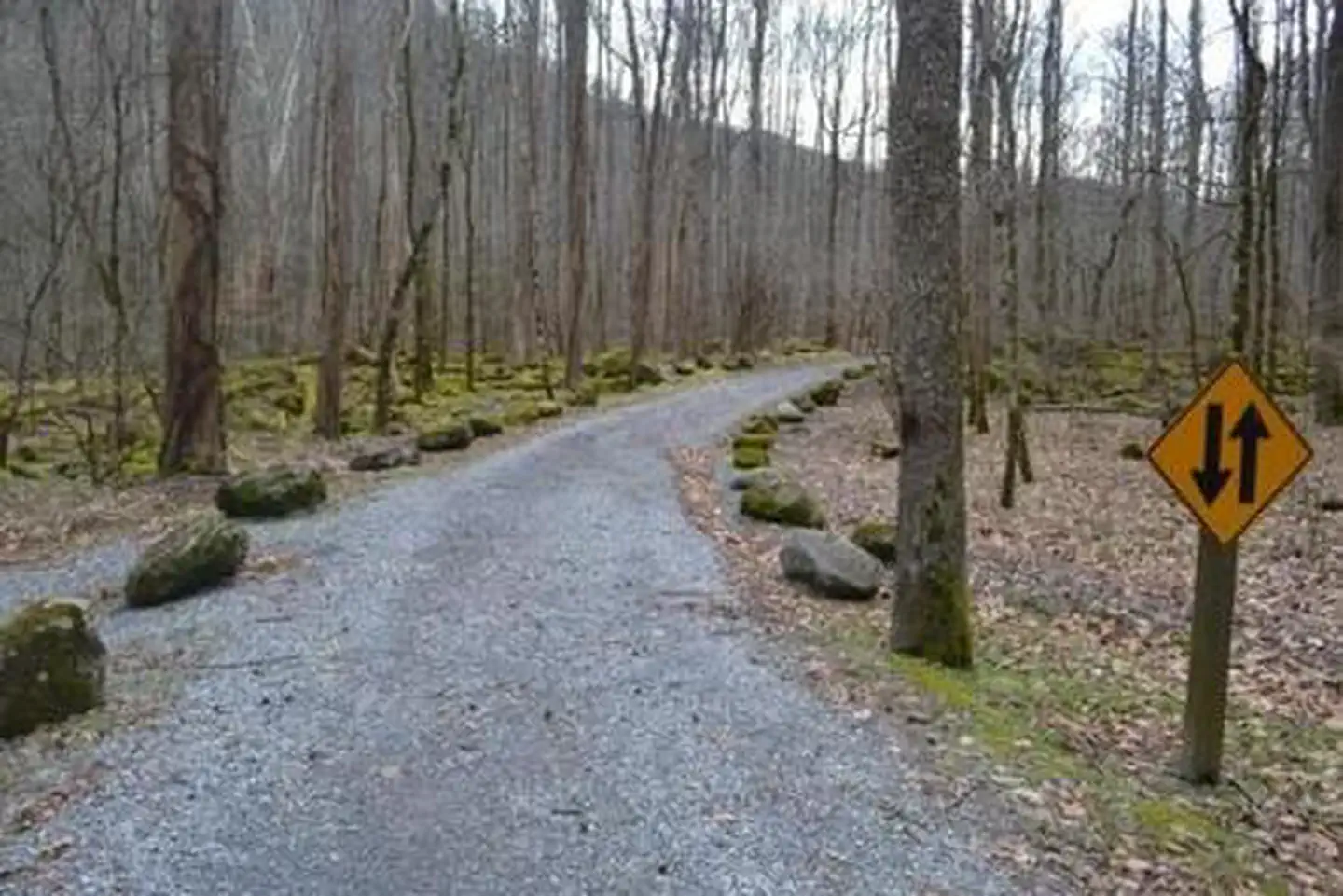 BIG CREEK rd.