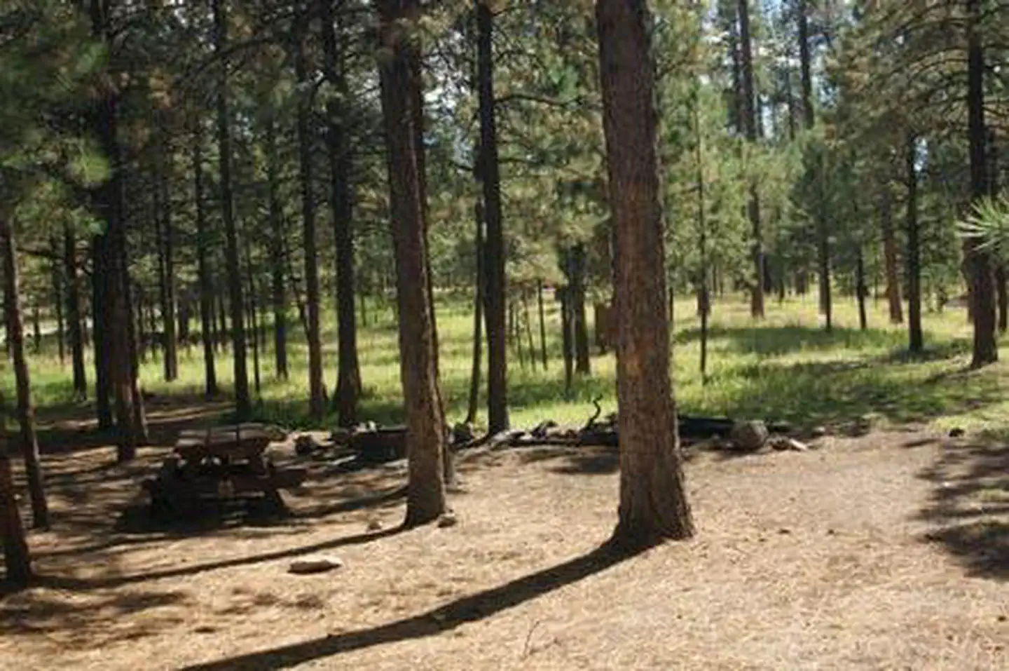 JEMEZ FALLS CAMPGROUND