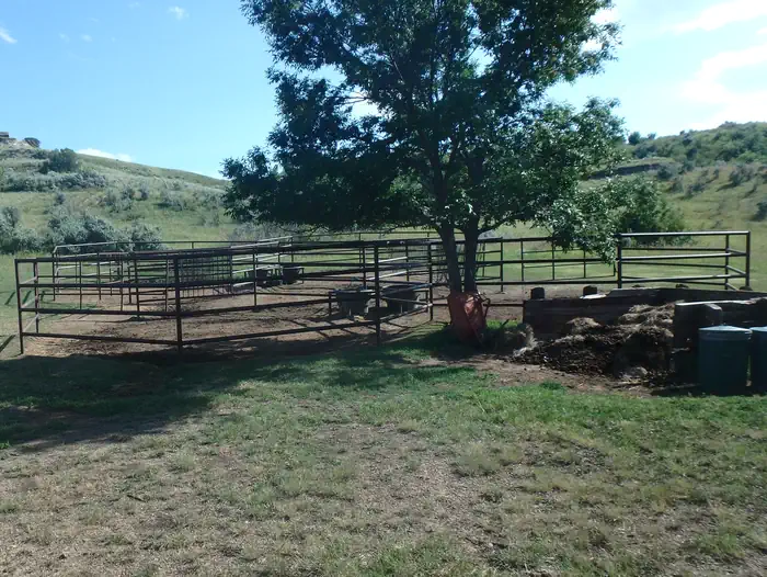 The four rectangular corrals at the site