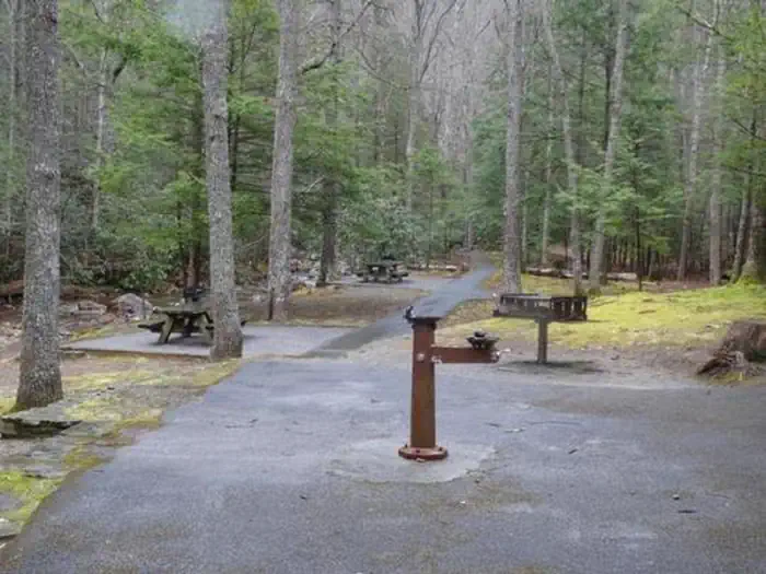 Water fountain and picnic tables around the pavilion