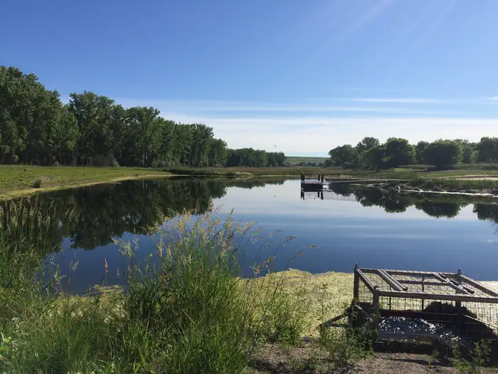 Trout Pond at Downstream Campground Hiking Trail