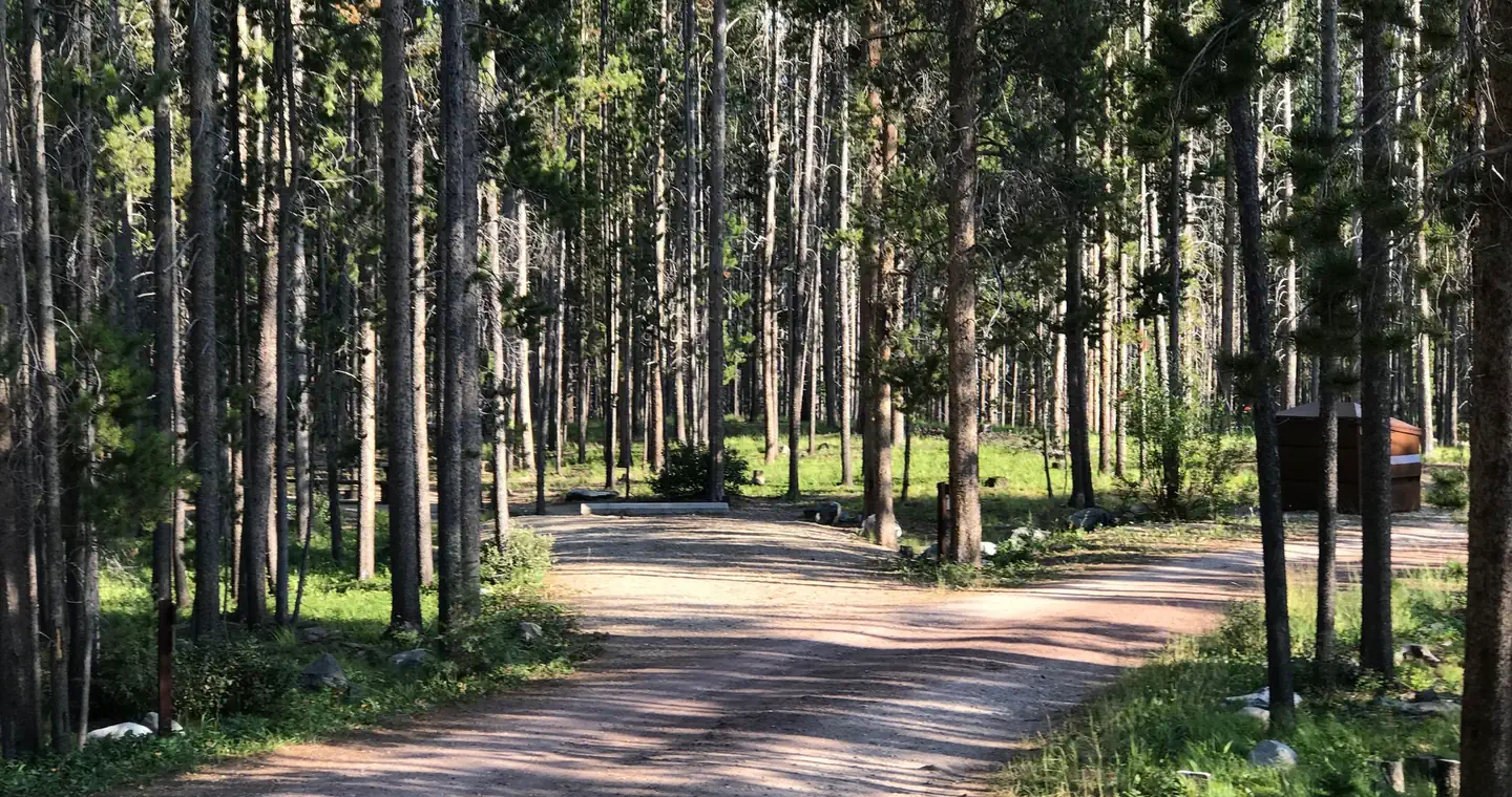 Campsite in wooded area