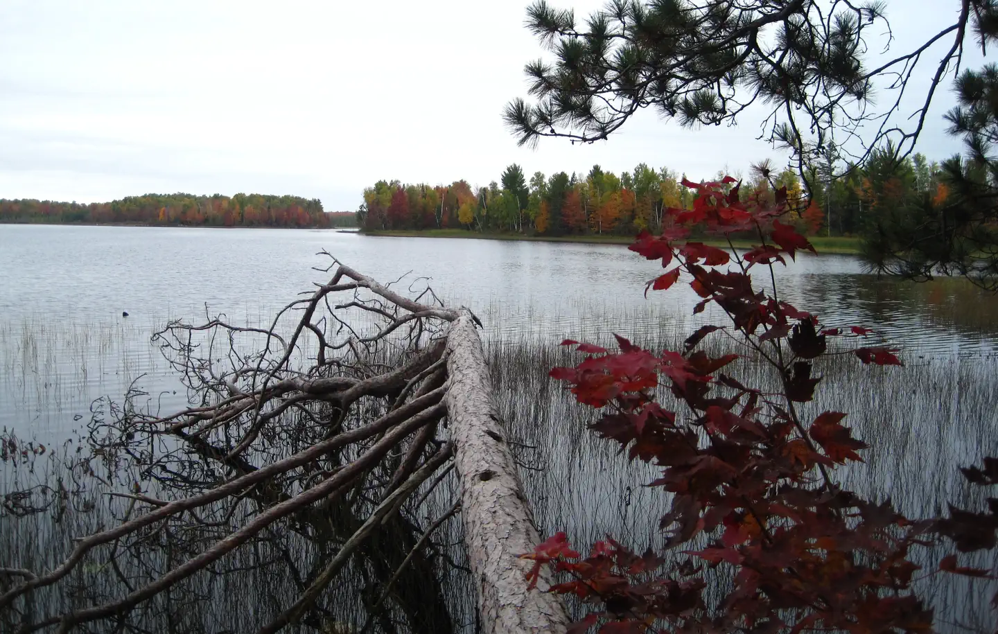 Sailor Lake fall colors.